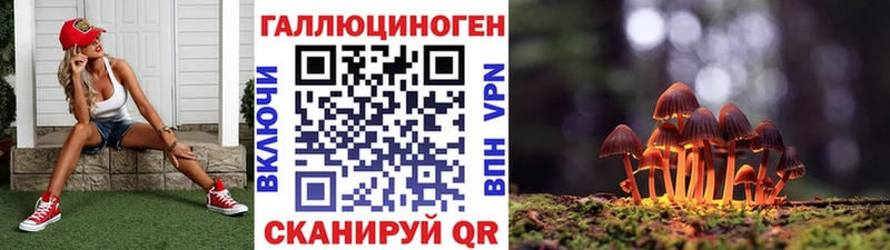 mega вход  Злынка  Псилоцибиновые грибы прущие грибы  хочу  