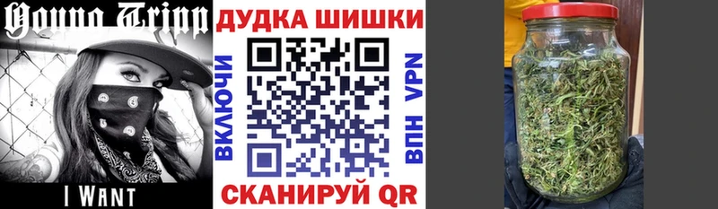 нарко площадка состав  Злынка  Каннабис планчик  продажа наркотиков 
